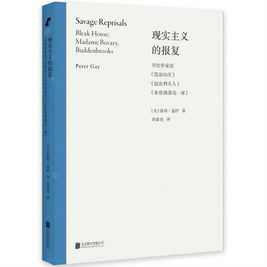 现实主义的报复：历史学家读《荒凉山庄》《包法利夫人》《布登勃洛克一家》 商品图0