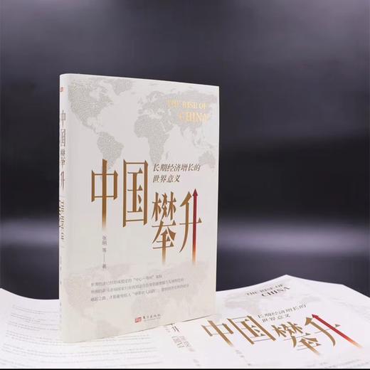 中国攀升:长期经济增长的世界意义 商品图1