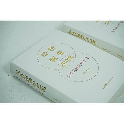 经济犯罪200案类案裁判规则参考 商品图2