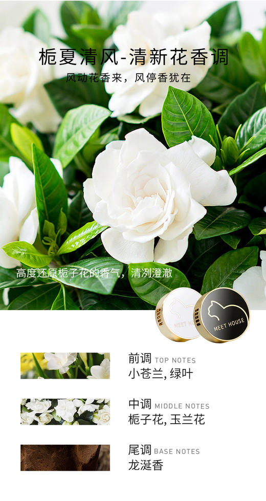 【新品上新】经典车载香薰补充香薰片（不含扩香器） 商品图5