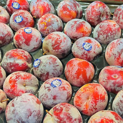 智利 恐龙蛋李子 |进口水果 商品图2