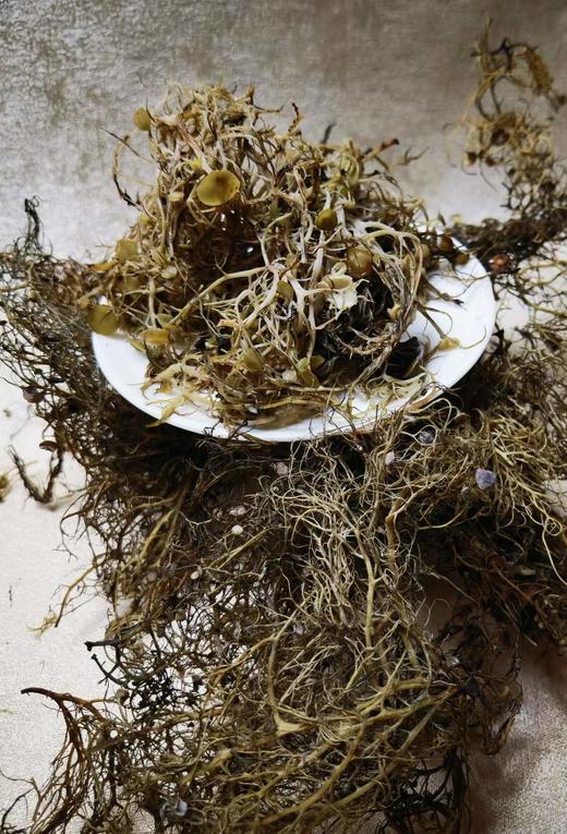 野生树花菜 商品图1