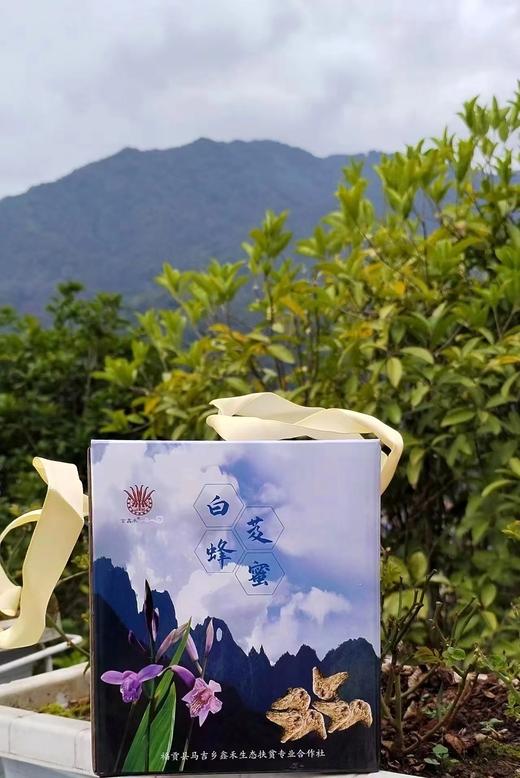 白芨蜂蜜500g【盒装】 商品图2