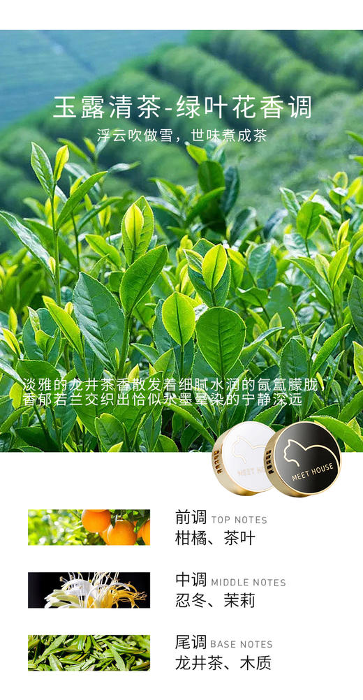 【新品上新】经典车载香薰补充香薰片（不含扩香器） 商品图7