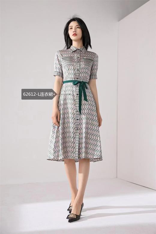 2F阿瓦塔桑蚕丝连衣裙L21626 商品图0