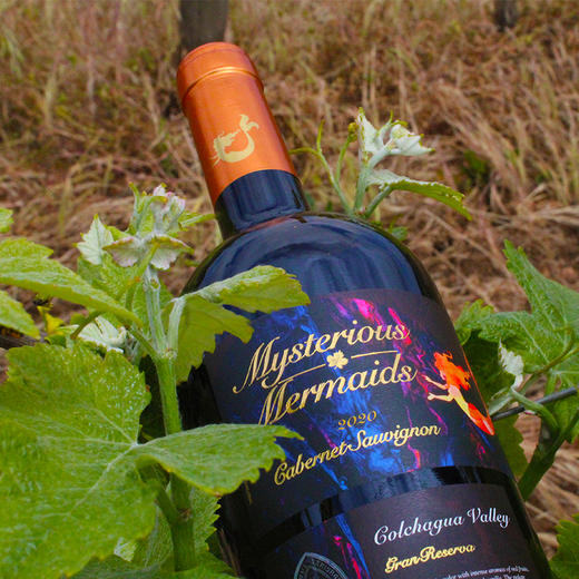 神秘美人鱼特级珍藏赤霞珠红葡萄酒 750ml 智利原瓶进口 商品图4