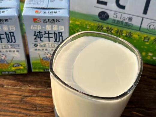 云上传祁A2酪蛋白160毫升*16盒 商品图2