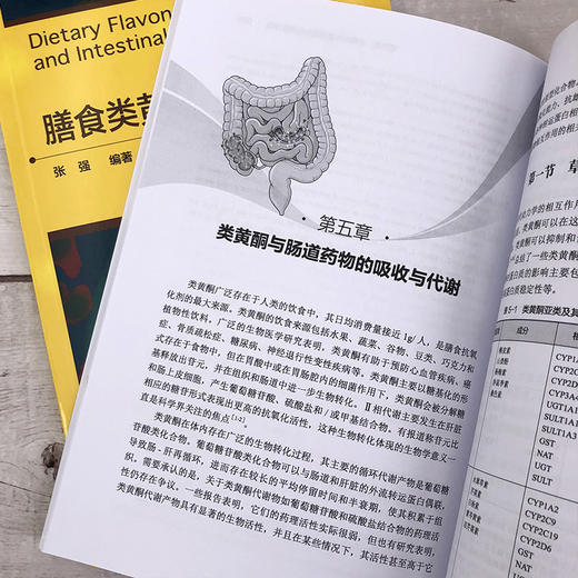 膳食类黄酮与肠道健康 商品图7