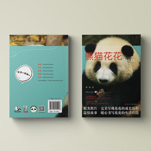熊猫花花 蒋林 著 文学 商品图1