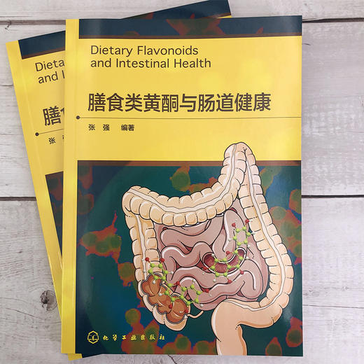 膳食类黄酮与肠道健康 商品图1