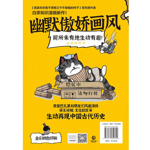 吾皇巴扎黑漫画大中华史/湖南文艺出版社/白茶/9787572610820 商品图5