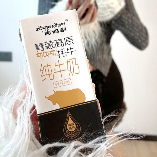 阿妈家牦牛砖250ml*10盒/箱 商品图3
