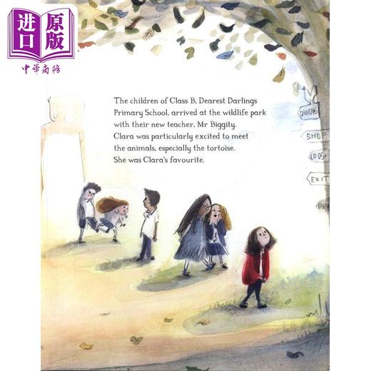 【中商原版】What Clara Saw 克拉拉看到了什么 英文原版 进口图书 儿童绘本 动物故事图画书 3-6岁儿童读物 百科知识图书 商品图1