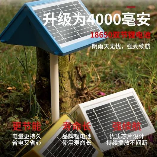 双板太阳能（不含卡） 商品图2