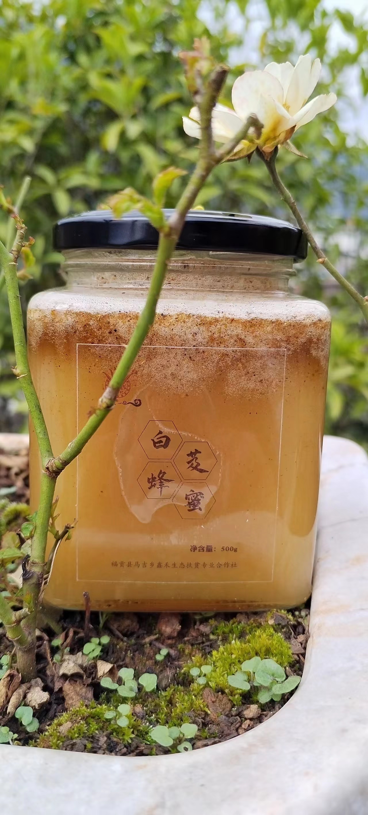 白芨蜂蜜500g【盒装】