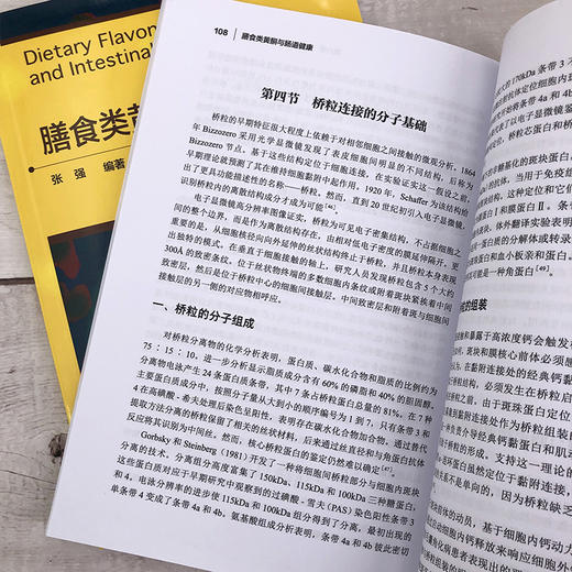 膳食类黄酮与肠道健康 商品图9