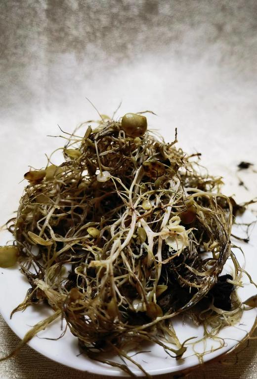 野生树花菜 商品图2