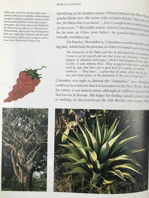 哥伦布与大发现时代（馆藏裸书） 数百幅插图 精装16开 商品图12