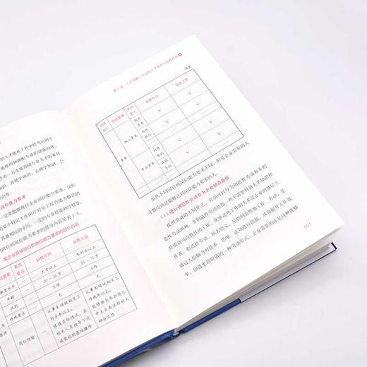 人才战略 人才发展体系的数字化搭建  商品图3