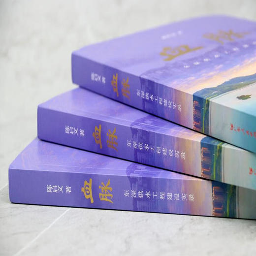 血脉东深供水工程建设实录 商品图4