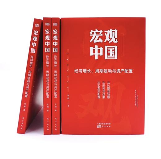 宏观中国:经济增长、周期波动与资产配置 商品图2