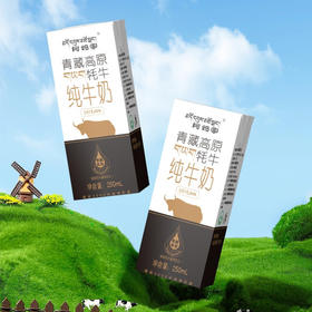 阿妈家牦牛砖250ml*10盒/箱