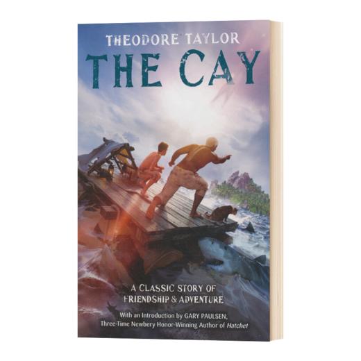 英文原版 The Cay 珊瑚岛 珊瑚礁 荒岛求生记 老人男孩友谊 西奥多·泰勒 英文版 进口英语原版书籍 商品图0
