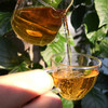 2005年易武同兴号普洱茶生茶357克陈年岁月普洱 商品缩略图1