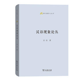 汉语现象论丛