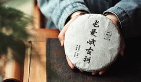 2023年春 老曼峨古树200克/饼