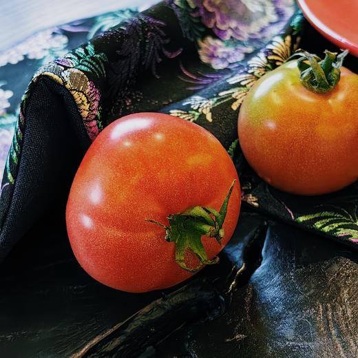 [屁侠推荐]草莓西红柿 铁皮番茄  酸甜爽脆 自然成熟 4.5-5斤装 商品图0