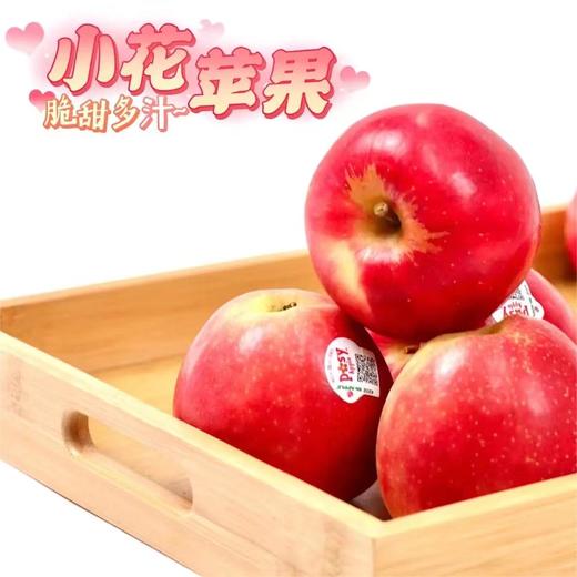 新西兰小花苹果 |进口水果 商品图0