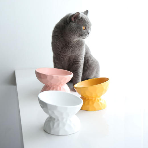 【宠物用品】-陶瓷猫碗保护颈椎斜口高脚狗狗猫粮碗猫咪食盆 商品图2