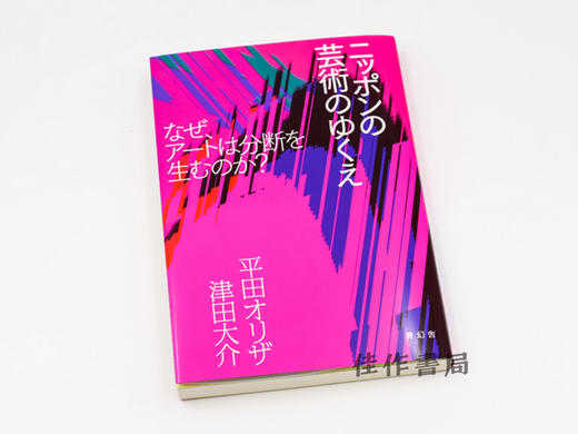 ニッポンの芸術のゆくえ なぜ、アートは分断を生むのか？ / 日本艺术的方向啊，艺术会产生分裂吗？ 商品图1
