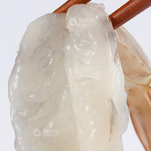 有机盐田虾 带头生虾 开背蝴蝶虾 商品图10