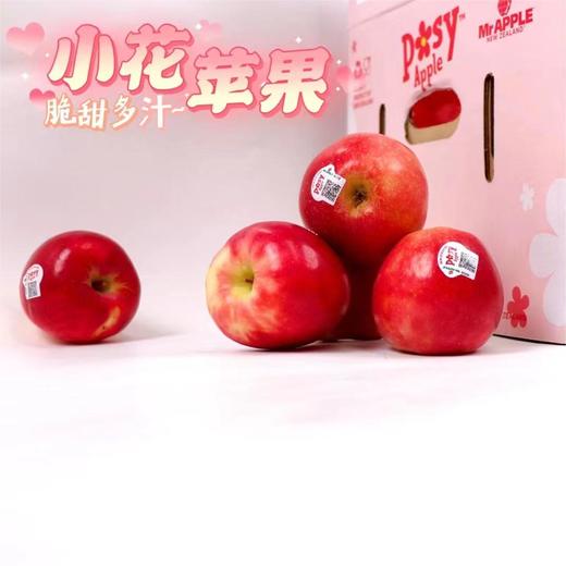 新西兰小花苹果 |进口水果 商品图1