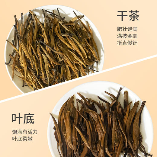 祥源茶特级滇红金针红茶云南凤庆蜜香金芽礼盒装96g 商品图3