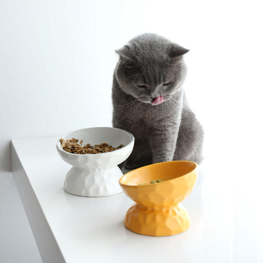 【宠物用品】-陶瓷猫碗保护颈椎斜口高脚狗狗猫粮碗猫咪食盆 商品图1