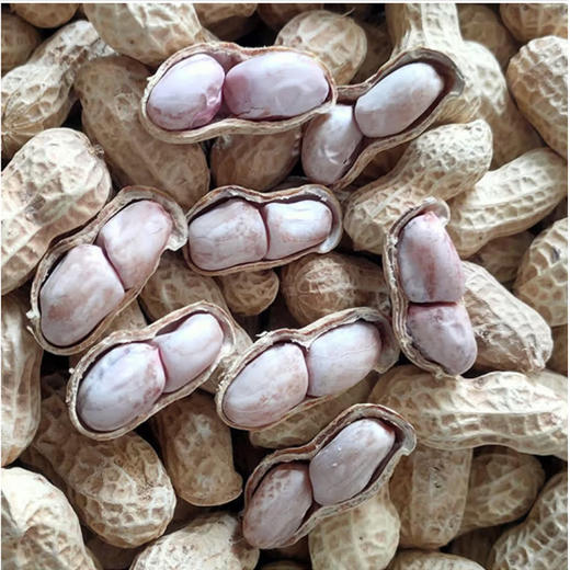 散称盐干花生【约500g】 商品图1