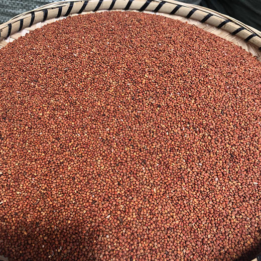 楮实子 商品图1