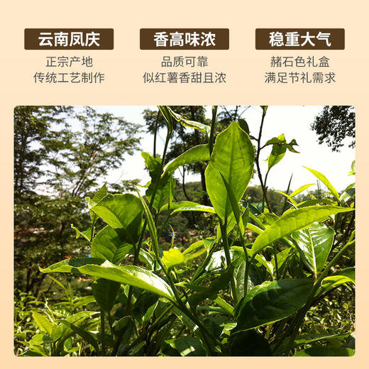 祥源茶云南凤庆滇红特级红茶礼盒送礼180g 商品图1