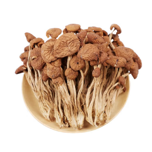 散称干茶树菇【约500g】 商品图0
