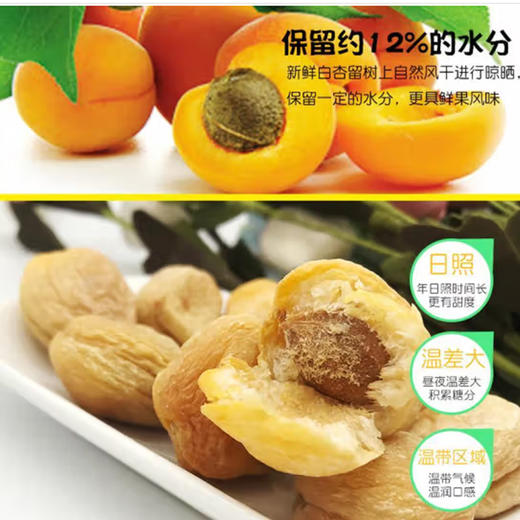 散称杏干【约500g】 商品图2
