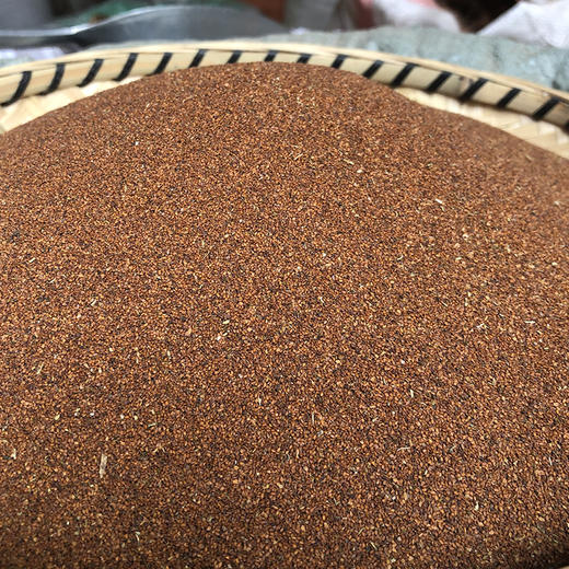 葶苈子精选 原生葶苈子 无硫新货葶苈子 饱满无杂 商品图2