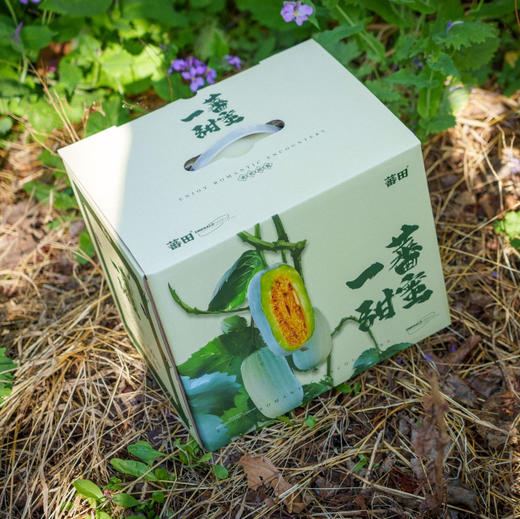 【博洋蜜瓜】蕃田 博洋72号蜜瓜，脆甜口感，连瓤带瓜一起吃，口感清脆瓜香浓郁！ 商品图1