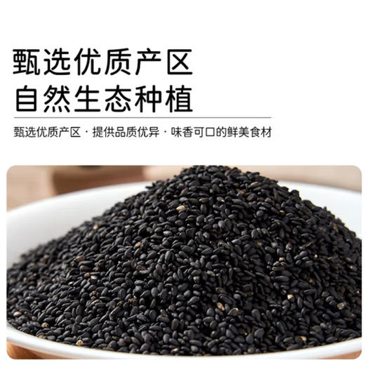 散称黑芝麻【约500g】 商品图0