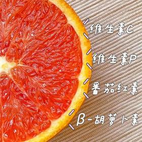 卡拉红橙 |水果