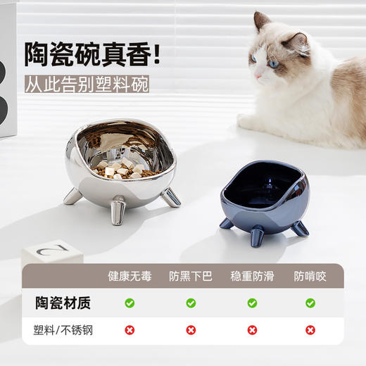 【宠物用品】-轻奢ins陶瓷猫碗保护颈椎猫粮碗猫咪狗猫盆饮水碗 商品图2