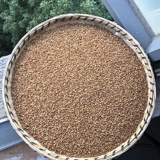 葫芦巴 商品图0