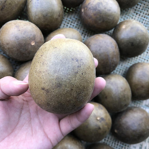 罗汉果一个  冻干 独立包装 商品图2